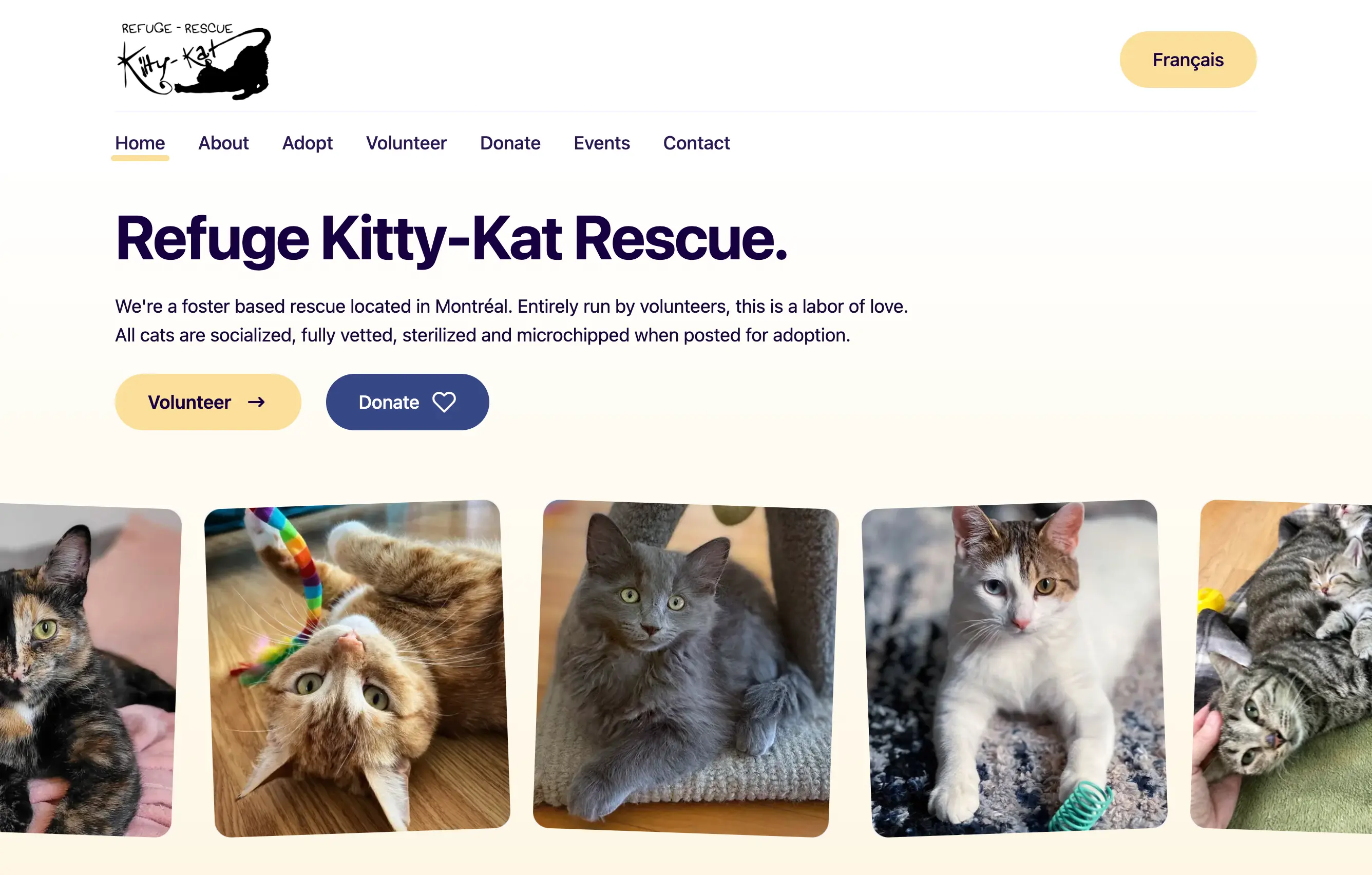 Refuge Kitty-Kat Rescue